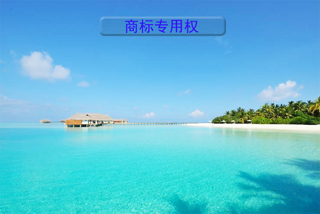 商標(biāo)專(zhuān)用權(quán)包括哪些內(nèi)容? 商標(biāo)專(zhuān)用權(quán)包括哪些內(nèi)容?