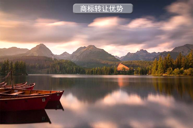 商標轉(zhuǎn)讓的優(yōu)勢和需要的材料? 商標轉(zhuǎn)讓的優(yōu)勢和需要的材料?