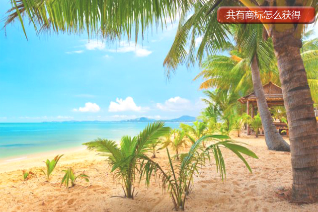 共有商標怎么獲得