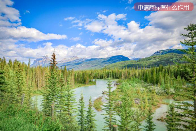 申請(qǐng)了商標(biāo)有什么作用 申請(qǐng)了商標(biāo)有什么作用